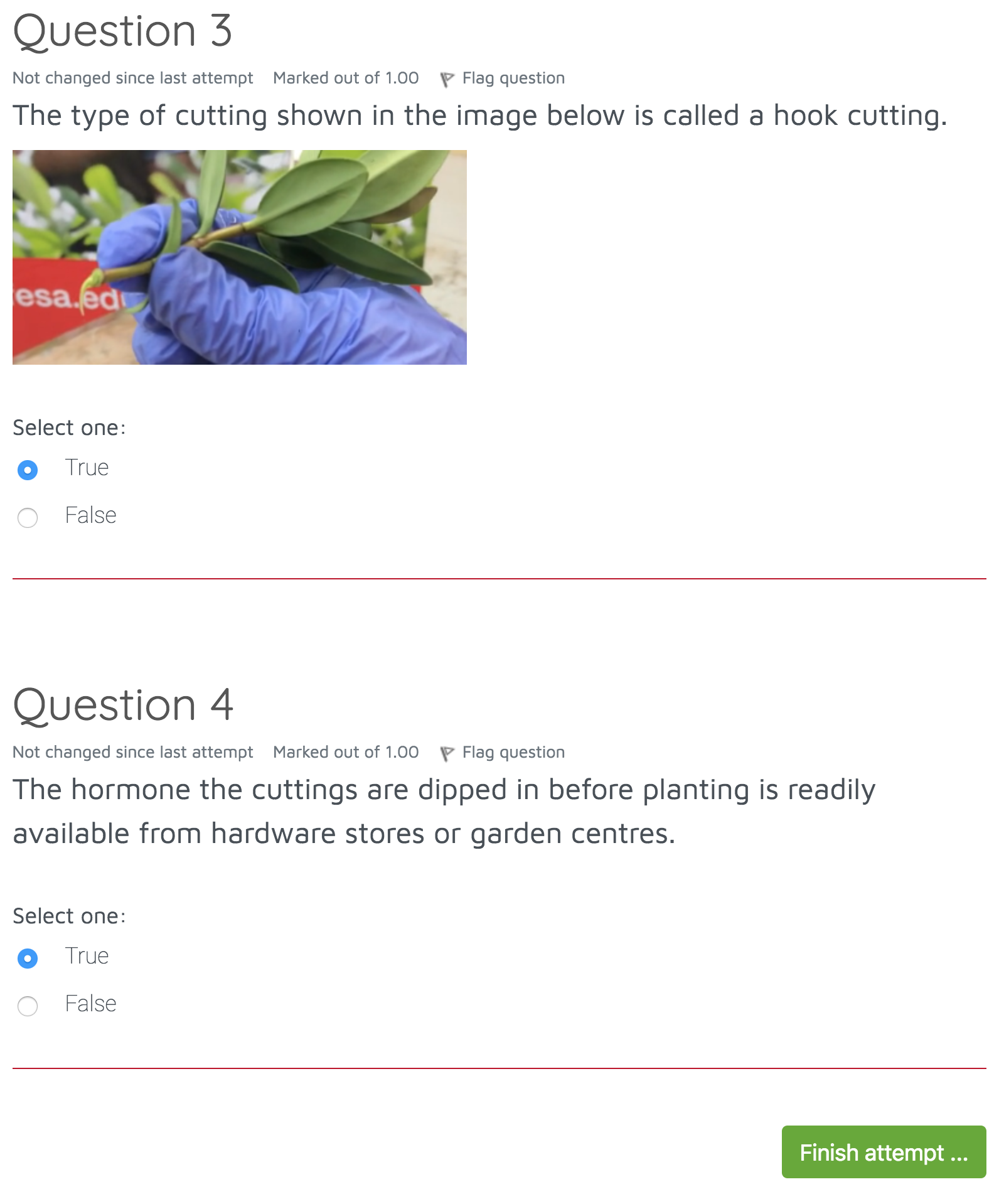 Example of quiz questions with multiple choice answers