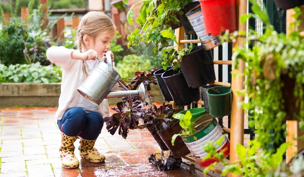 young child watering a pot plant with a watering can
