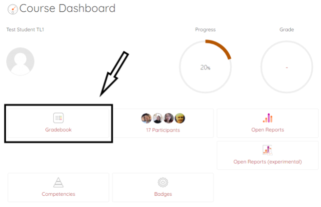 Course dashboard with Gradebook highlighted