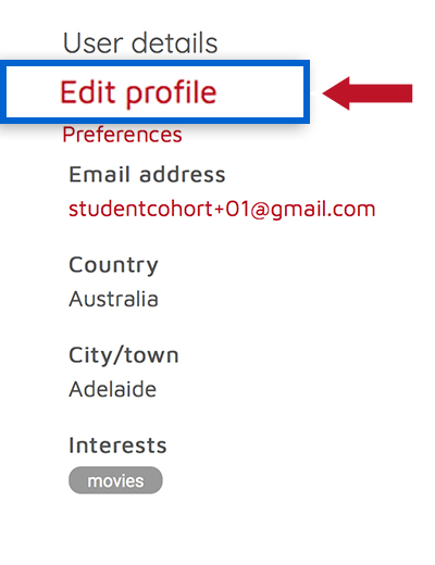 Screenshot of User Details menu showing Edit Profile link