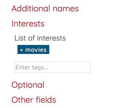 Example of More Information field where user has entered "Movies" under "List of interests"